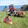 Rhodesian Ridgebacks 1200 mile walk
