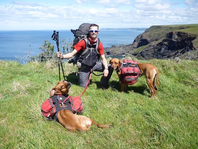 Rhodesian Ridgebacks Rhodesian Ridgebacks 1200 mile walk