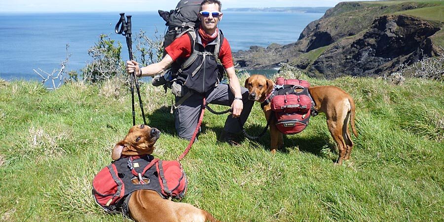 Rhodesian Ridgebacks Rhodesian Ridgebacks 1200 mile walk